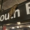 MTA To Reopen The <em>Old</em> South Ferry Station In Early April